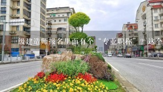 一级建造师报名里面有个“专业职称”？这个是什么意