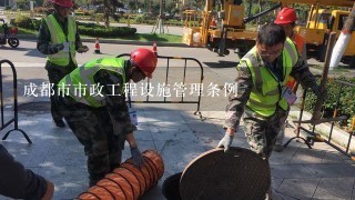 成都市市政工程设施管理条例