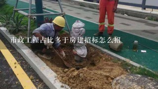 市政工程占比多于房建招标怎么招