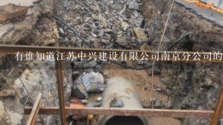 有谁知道江苏中兴建设有限公司南京分公司的简介