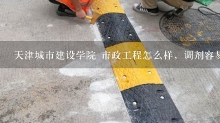 天津城市建设学院 市政工程怎么样，调剂容易吗，名额每年大致多少？？？