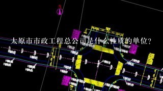 太原市市政工程总公司是什么性质的单位？