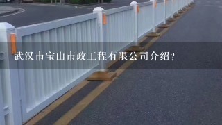 武汉市宝山市政工程有限公司介绍？