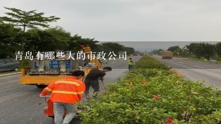 青岛有哪些大的市政公司