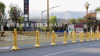 松阳县外来人口有多少人口