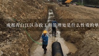 成都青白江区市政工程管理处是什么性质的单位?