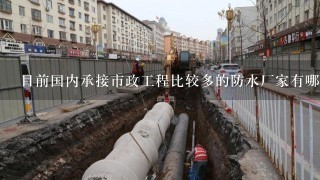 目前国内承接市政工程比较多的防水厂家有哪些？