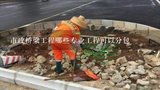 市政桥梁工程哪些专业工程可以分包