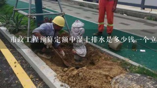 市政工程预算定额中湿土排水是多少钱一个立方？谢谢