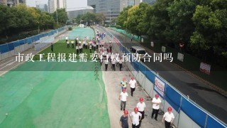 市政工程报建需要白蚁预防合同吗