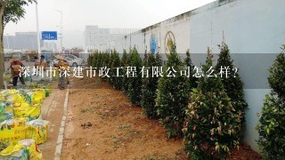 深圳市深建市政工程有限公司怎么样？