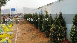 武汉市政设计院有几个分院