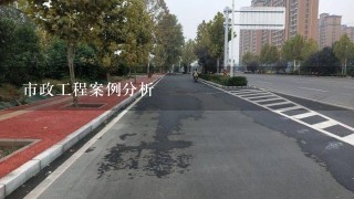 市政工程案例分析