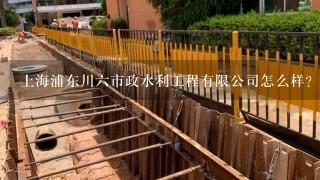 上海浦东川六市政水利工程有限公司怎么样？