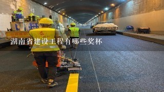 湖南省建设工程有哪些奖杯