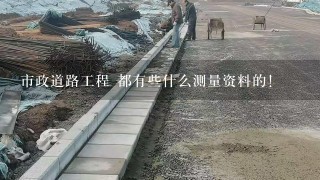 市政道路工程 都有些什么测量资料的！