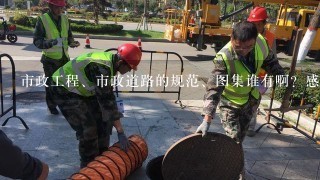 市政工程、市政道路的规范、图集谁有啊？感激不尽！