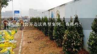 国土部门公开违法典型案例，有哪些？