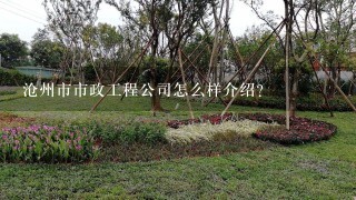 沧州市市政工程公司怎么样介绍？