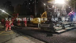 关于1个标段工程，含水利、市政、园林，如何划分项目划分？