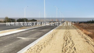 扬州鼎茂市政工程有限公司怎么样？