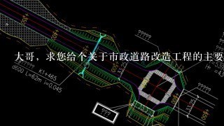 大哥，求您给个关于市政道路改造工程的主要施工工序