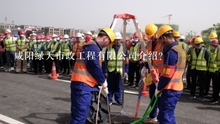 咸阳绿天市政工程有限公司介绍？