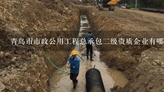 青岛市市政公用工程总承包2级资质企业有哪些?