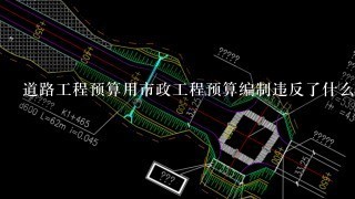 道路工程预算用市政工程预算编制违反了什么规定