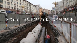 各位前辈，我是做建筑行业市政资料的新手，请问市政道路工程初验需要哪些资料，请概述详细些，谢谢了！