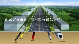 山东万盛市政工程有限公司怎么样？