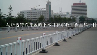 马路边铸铁井盖的下水井在市政工程里属于什么类型的井 不好意思没分了，谢谢回答