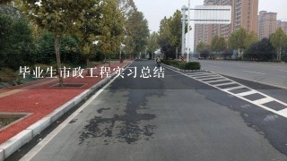 毕业生市政工程实习总结