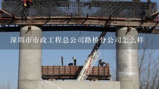 深圳市市政工程总公司路桥分公司怎么样