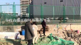 市政高级工程师有哪些专业