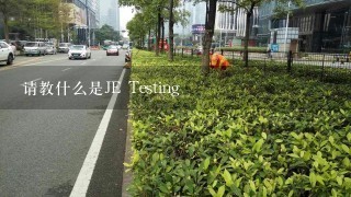 请教什么是JE Testing