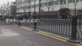 爱情中cyq什么意思？