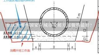 你认为哪些国家在城市发展方面做得最好？