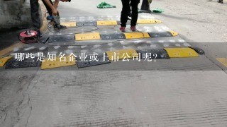 哪些是知名企业或上市公司呢？