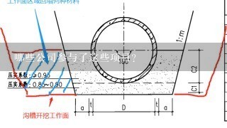 哪些公司参与了这些项目？