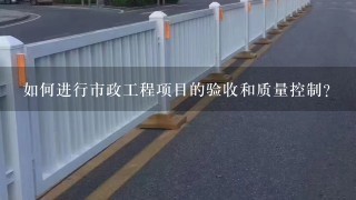 如何进行市政工程项目的验收和质量控制?