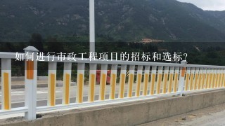 如何进行市政工程项目的招标和选标?