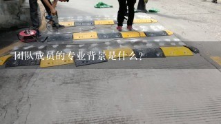 团队成员的专业背景是什么?