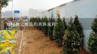 如何制定规范的具体流程?